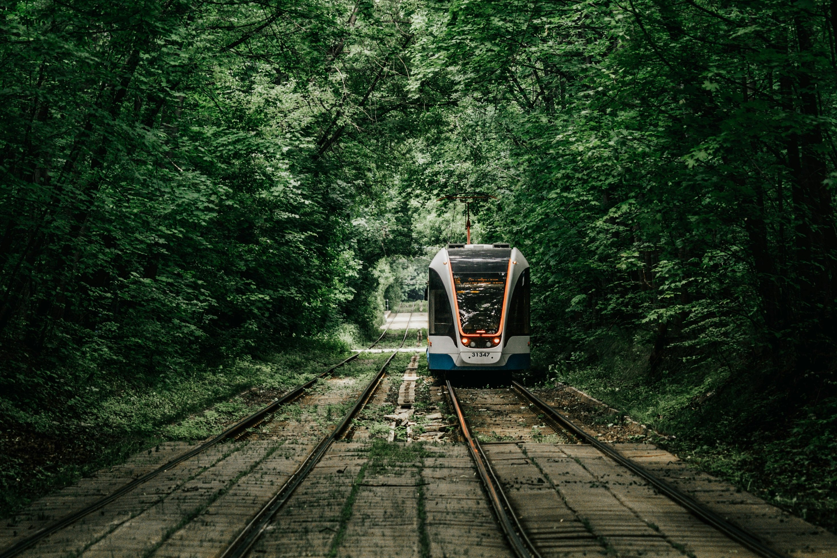 white and blue train on rail tracks between green trees during daytime